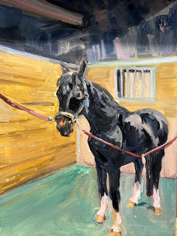 Duval by Rachel Houlihan