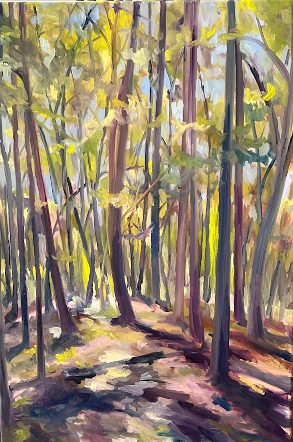 Forest Cathedral by Rachel Houlihan