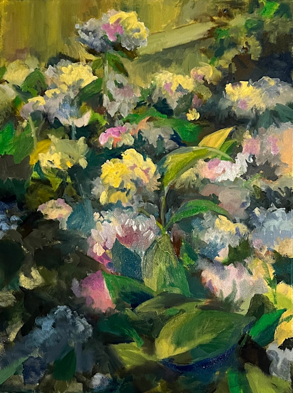 Hydrangea by Rachel Houlihan