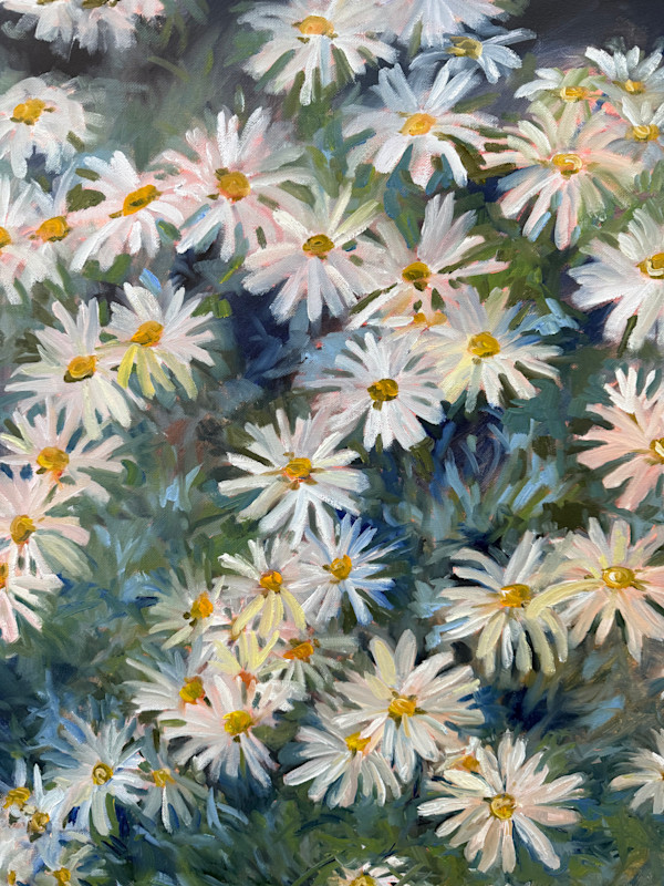 Spring  Daisies by Rachel Houlihan