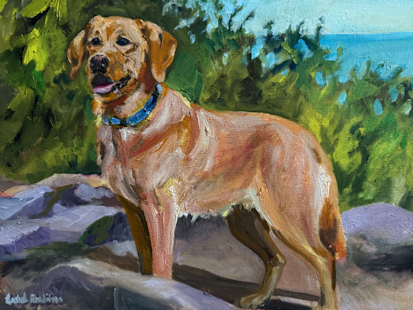 Echo for Gerald by Rachel Houlihan, Image 1.