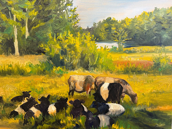 Belted Galloways at Lily Pond by Rachel Houlihan, Image 1.