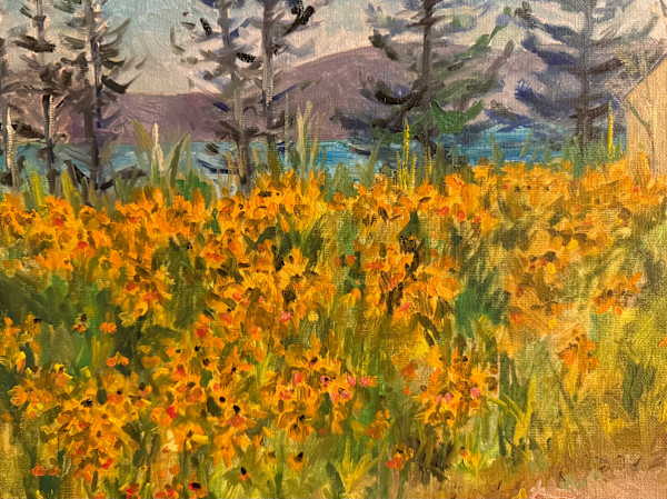 Black Eyed Susans on the Cranberry Island II by Rachel Houlihan, Image 1.