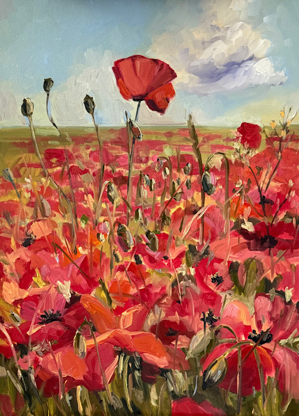 Field of Red Poppies by Rachel Houlihan, Image 1.