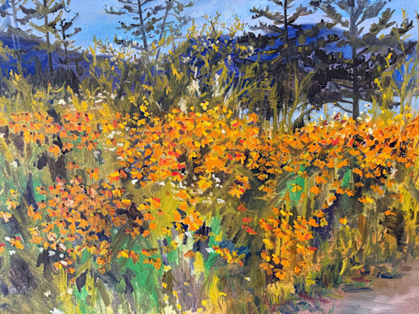 Black Eyed Susans on Cranberry Island by Rachel Houlihan, Image 1.