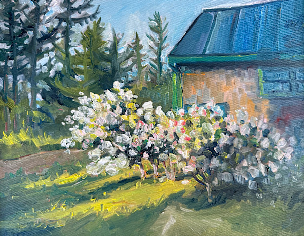 Hydrangeas at the Neighborhood House by Rachel Houlihan, Image 1.