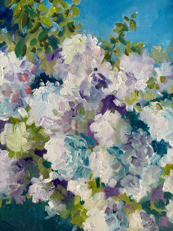 August Hydrangeas by Rachel Houlihan, Image 1.