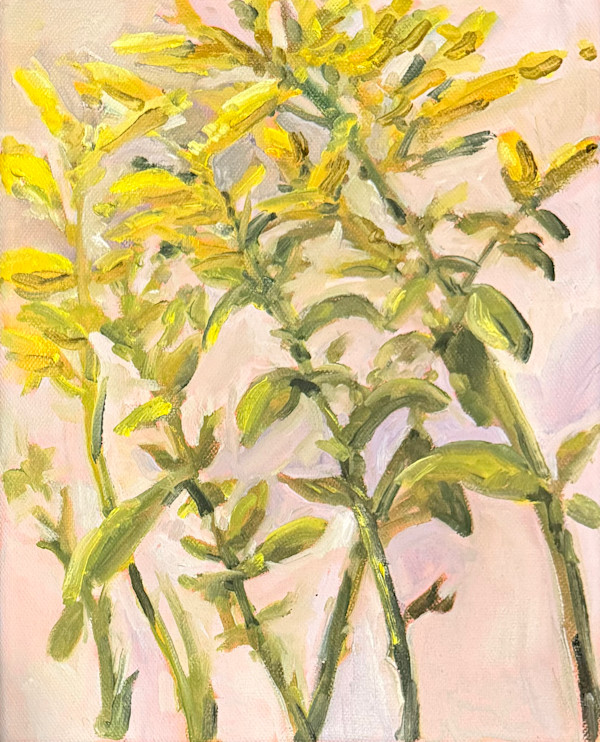 Goldenrod on Pink by Rachel Houlihan, Image 1.