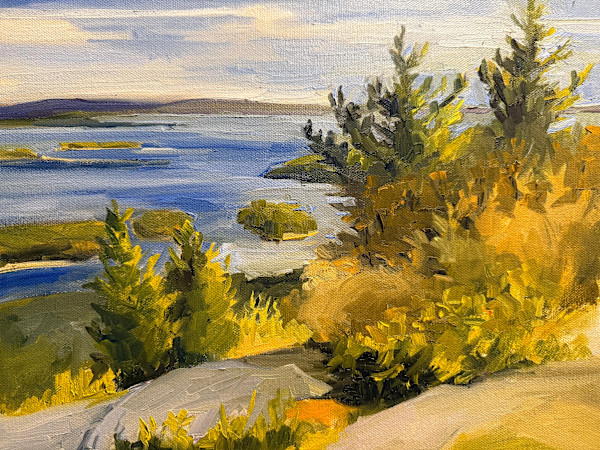 View from the Top of Mt Battie by Rachel Houlihan