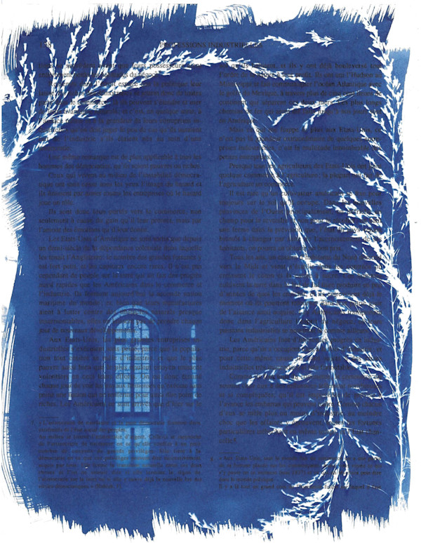 Versailles by Emily Hillhouse