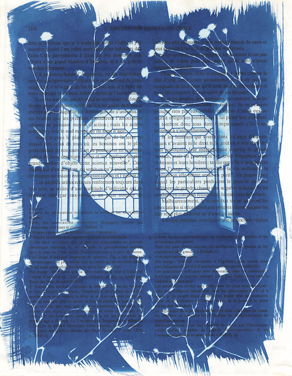 Chateau Chenonceau Window by Emily Hillhouse