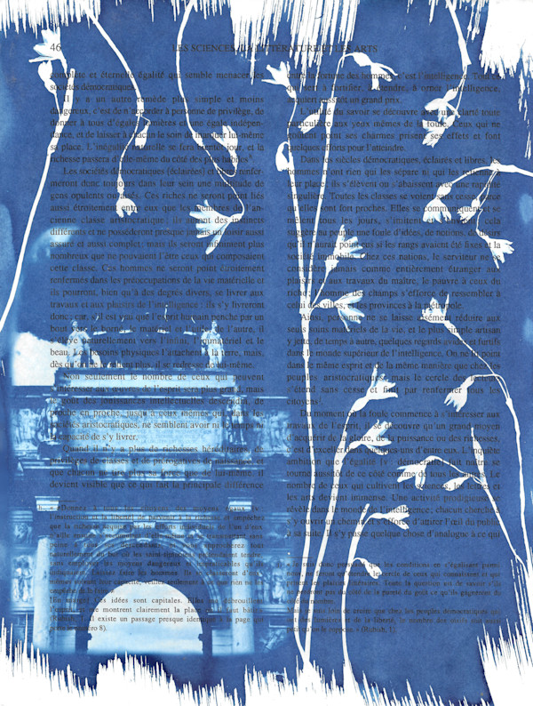 Arc de Triomphe du Carrousel by Emily Hillhouse