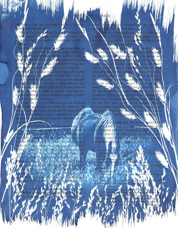 Horse Grazing by Emily Hillhouse