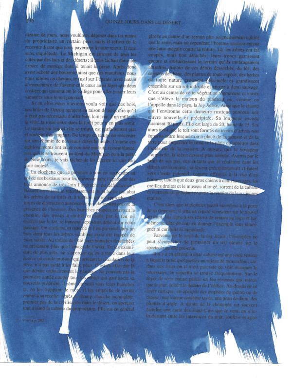 Azalea on Book Page by Emily Ruffner Hillhouse, Image 1.