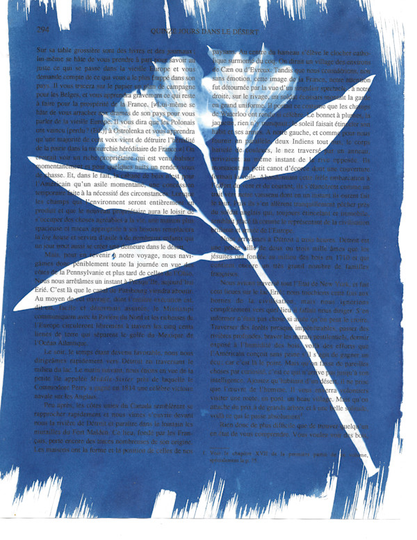 Azalea Print by Emily Ruffner Hillhouse, Image 7.