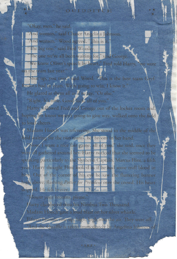 Versailles on Harry Potter Page by Emily Ruffner Hillhouse, Image 1.