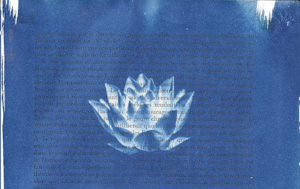 Water Lily by Emily Hillhouse