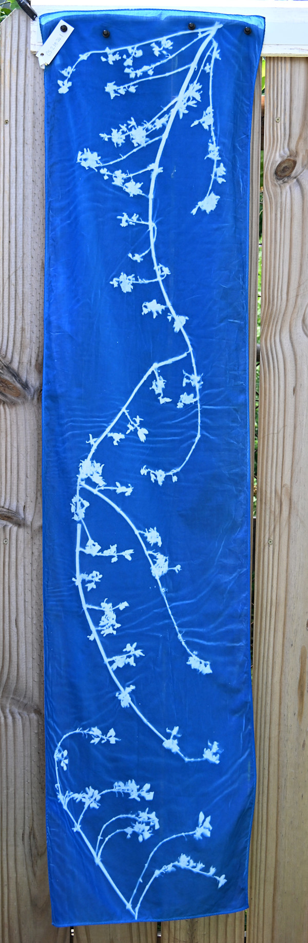 Botanical Cotton Scarf by Emily Ruffner Hillhouse, Image 1.