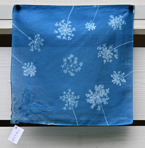 Queen Anne's Lace Handkercheif by Emily Hillhouse