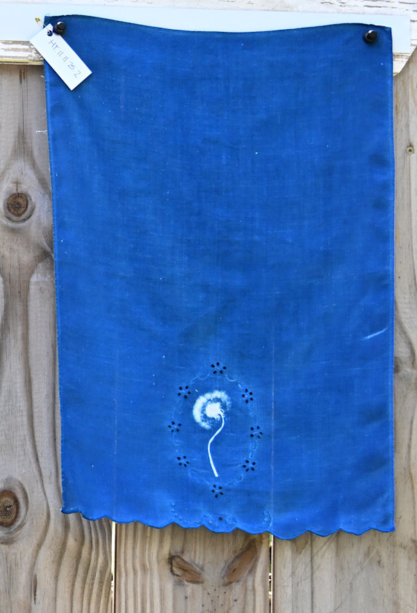 Dandelion Hand Towel by Emily Ruffner Hillhouse