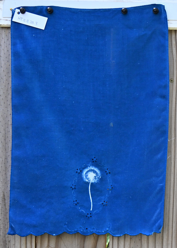 Dandelion Hand Towel by Emily Ruffner Hillhouse