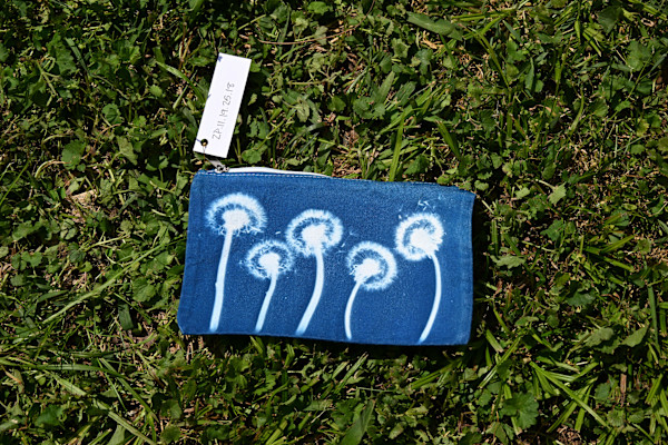 Dandelion Zipper Pouch by Emily Ruffner Hillhouse, Image 1.