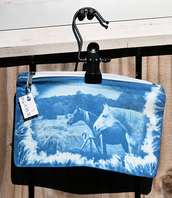 Monkie and Sully Zipper Pouch by Emily Hillhouse