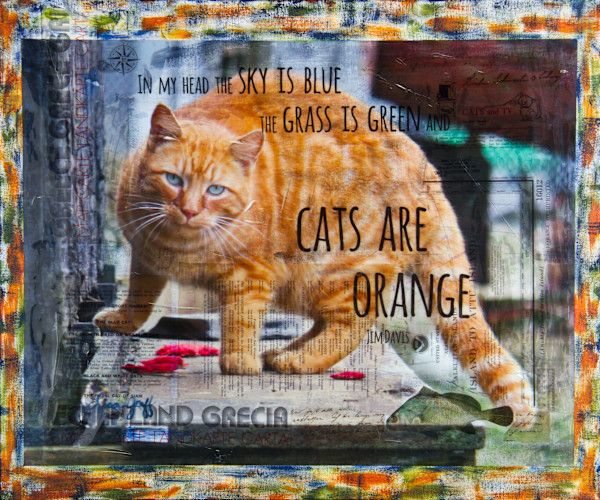 Orange Cat by Lisa Graff