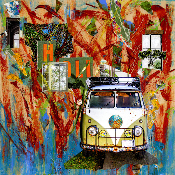 Madrone Van by Lisa Graff