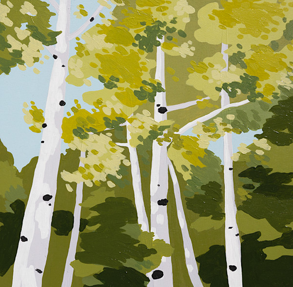 Aspen Trees by Elizabeth