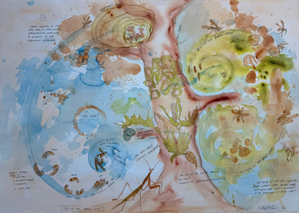 Life of the Paper Wasp by Dr Phillip B. Roös, Image 1.