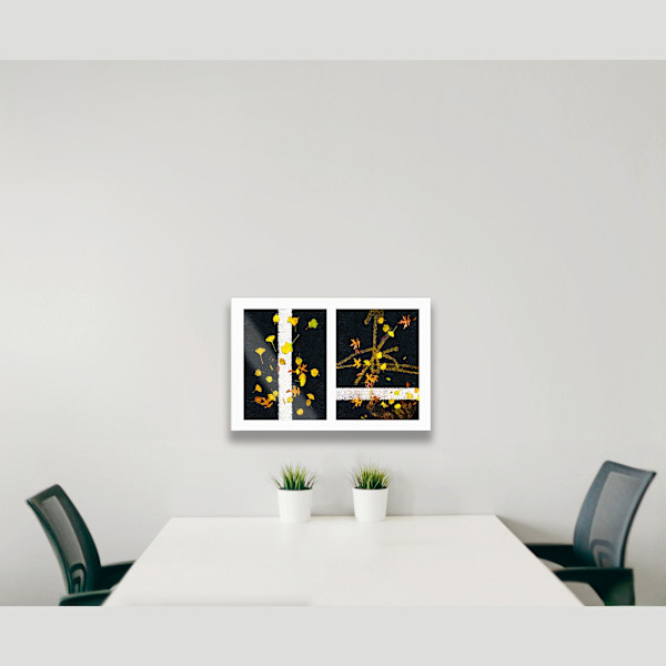 Street Lines #07: Scattered Leaves on Lines Proof 1 by Susan Bowen