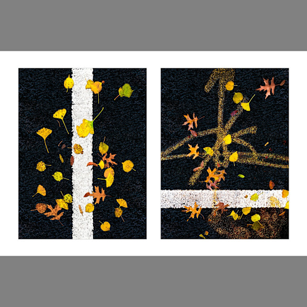 Street Lines #07: Scattered Leaves on Lines by Susan Bowen, Image 1.