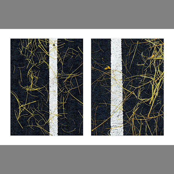 Street Lines #10: Scattered Twigs on Lines by Susan Bowen, Image 1.