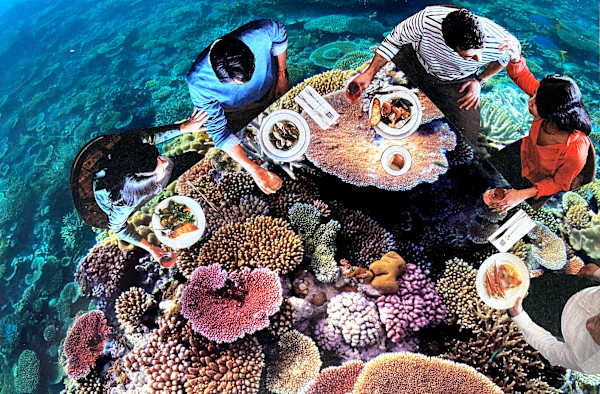 Aquaculture by Riley Peterson