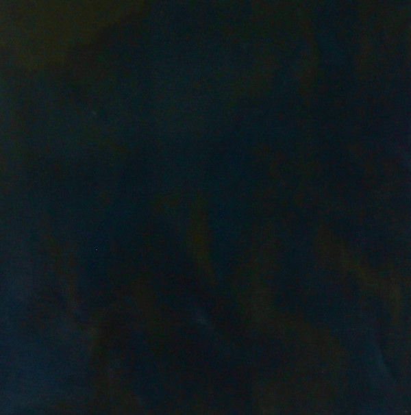 Untitled (from the Lake Michigan Series) by Brittanie Bondie