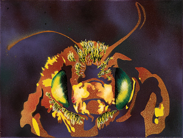 Portrait of a Pollinator Number 1 by Eric Reou