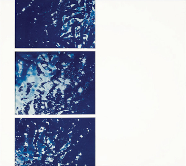 Raisin River 5 (triptych) by Brittanie Bondie