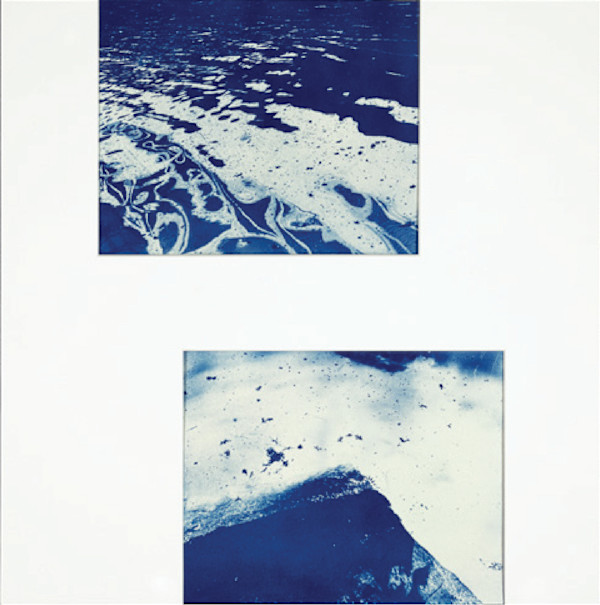 Raisin River 6 (diptych) by Brittanie Bondie