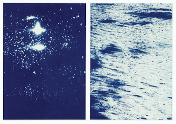 Raisin River 1 (diptych) by Brittanie Bondie