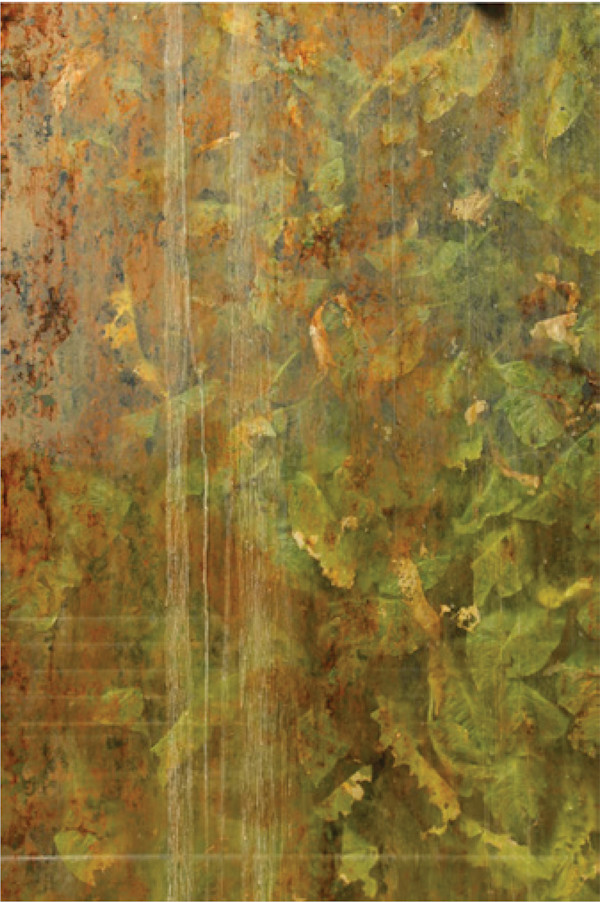 Untitled 6 (from the series Biosphere 2) by Megan Major