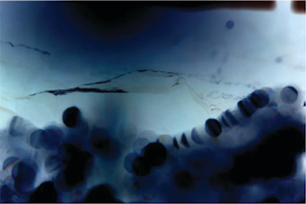 Untitled 6 (from the series Glacier Ice) by Megan Major