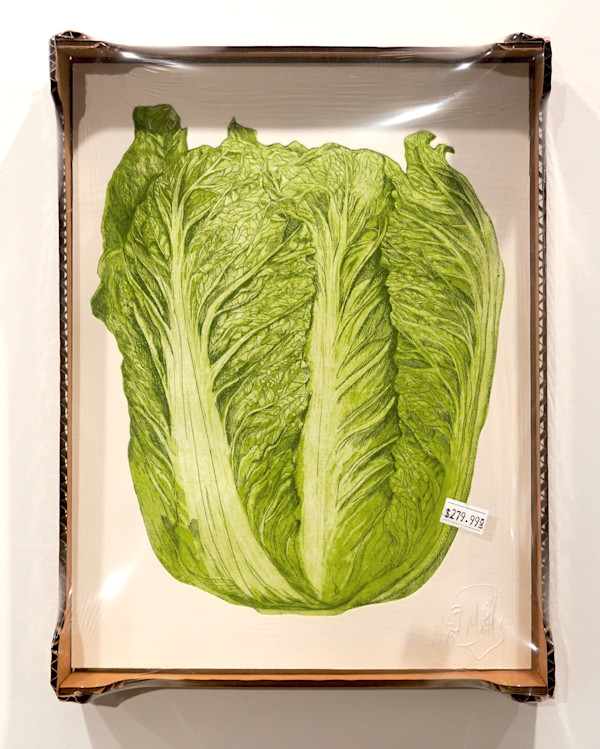 Cabbage by Neil Mattern, Image 1.