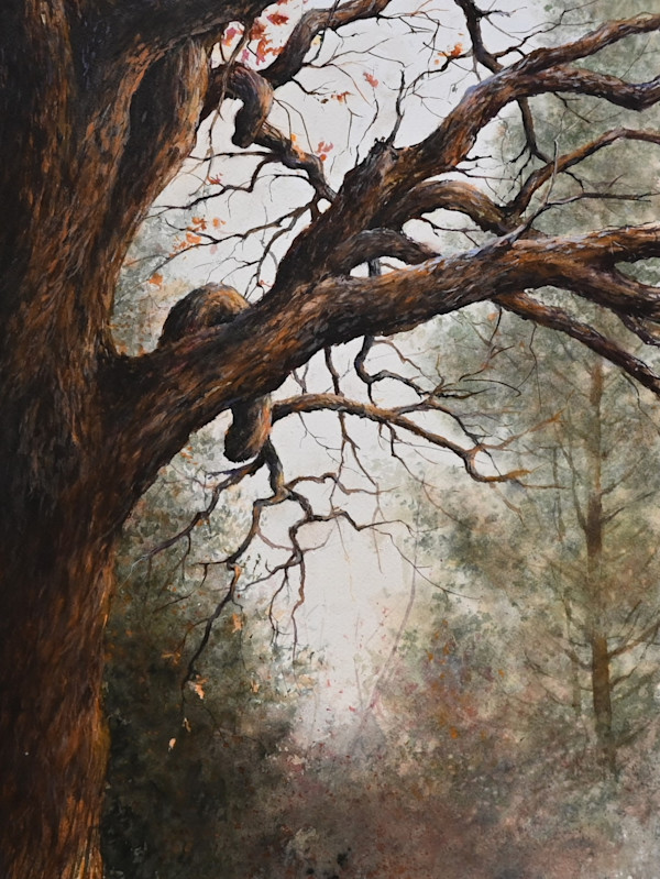 Approaching Twilight by Suzanne Wirsing