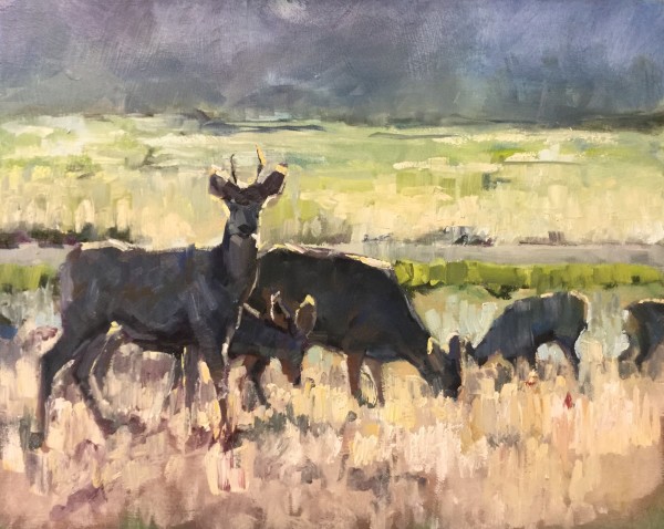 Morning in Westcliffe by Heather Arenas