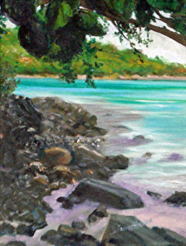 Caneel Bay II by Diane K. Hewitt