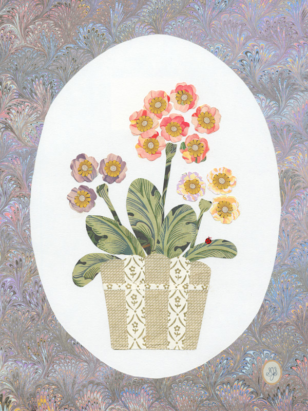 Primroses by Shannon Skinner