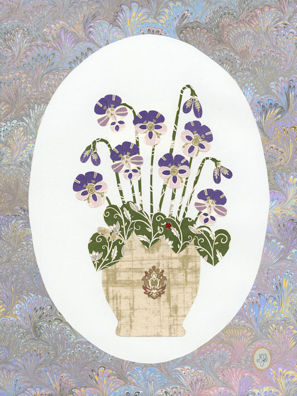 Violas by Shannon Skinner
