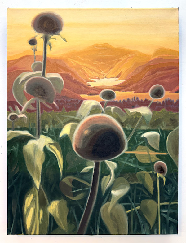 Coneflowers by Mathew Tucker, Image 1.