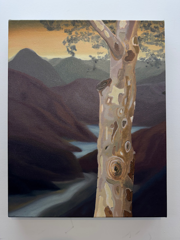 Knots by Mathew Tucker